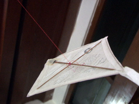 kite1.jpg