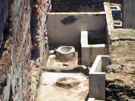 toilet.jpg