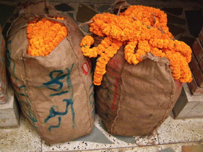 flowers2