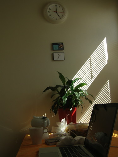 homethesedays3
